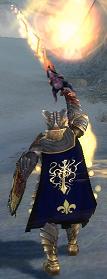 Guild Gemini Warriors cape.jpg