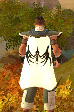 Guild College Of Autumn Blood cape.jpg