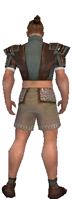 Monk Censor armor m gray back chest feet.jpg