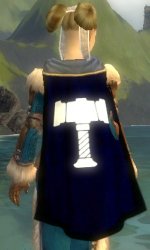 Guild The Build Company cape.jpg