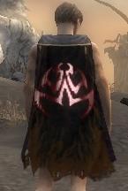 Guild Abyssus Liberi cape.jpg