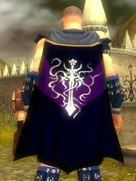 Guild Strength Through Defiance cape.jpg