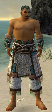 Monk Elite Luxon armor m gray front arms legs.jpg