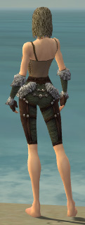 Ranger Elite Fur-Lined armor f gray back arms legs.jpg