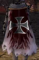 Guild Legers Legion cape.jpg