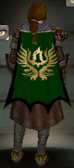 Guild Hyestani Zinvor cape.jpg