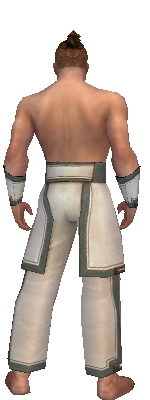 Monk Sacred armor m gray back arms legs.jpg