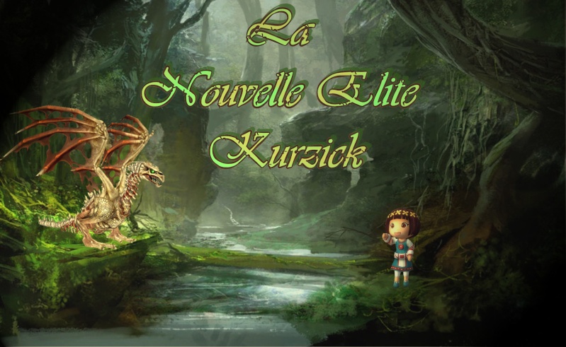 Guild Nouvelle Elite Kurzick Gw2-2010.jpg