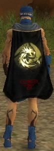 Guild Service Of Shadows cape.jpg