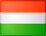 Guild Hungarian Legion Flag of hungary.jpg