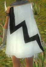 Guild Zealous Angels Cape.jpg