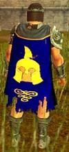 Guild Grandalf The Grey cape.jpg