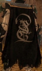 Guild Scions Of Sorcery cape.jpg