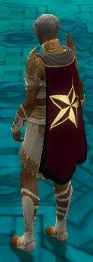 Guild Tyrian Socialist League cape.jpg