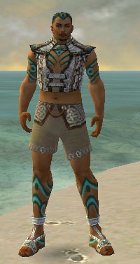 Monk Elite Luxon armor m gray front chest feet.jpg