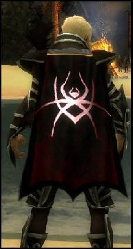 Guild Demonic Order Of Malevolence Cape.JPG