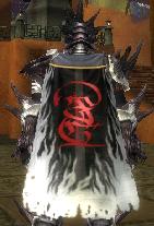 Guild Templar Brotherhood cape.jpg