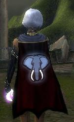 Guild Angels Corrupt Elephants cape.jpg