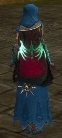 Guild Twilights Awakening cape.jpg