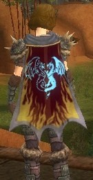 Guild Black Dragons Of Europe cape.jpg