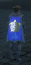 Guild The Crazy Combat Killers cape.jpg