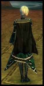 Guild Revelations Of Apollyon cape.jpg