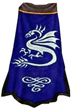 Guild Kingdom Of Dragons cape.jpg