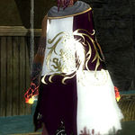 Guild Apostles Of Dhamnocracy cape.jpg