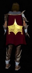 Guild The Regalia Of Wisdom cape.jpg