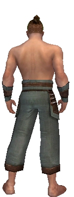 Monk Censor armor m gray back arms legs.jpg