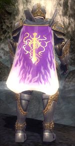 Guild Made Of Dreams cape.jpg