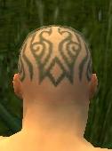 Monk Asuran armor m gray back head.jpg