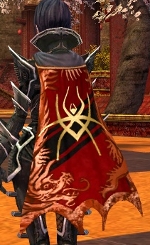 Guild Synthetic Gods cape.jpg