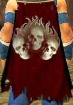 Guild The Skeletors cape.jpg