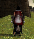 Guild Devilish Omen Stargazers cape.jpg