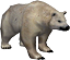 Polar Bear.png