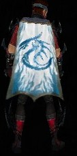 Guild The Cyan Dragons cape.jpg