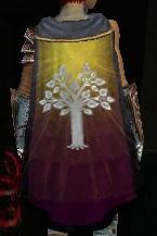 Guild Return Of The Demigods cape.jpg