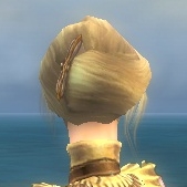 Aspect of the Lich f back head.jpg