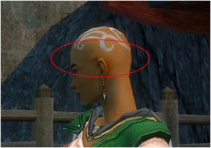 User LunarEffect Female Monk Bug.jpg