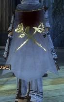 Guild Sorrow In Vain cape.jpg