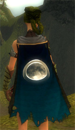 Guild The Stray Rock Guild cape.jpg