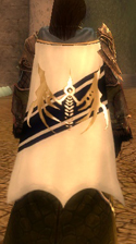 Guild The Nefarious Angels Cape.jpg