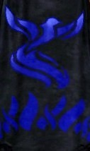 Guild Black Phoenix Gaurdians cape.jpg