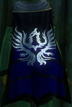 Guild Grand Orchestra Of Destruction cape.jpg