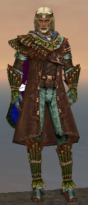 User Silent fist of fury coastal runner druid armor.jpg