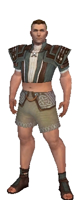 Monk Censor armor m gray front chest feet.jpg