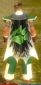 Guild Celina Slayers cape.jpg