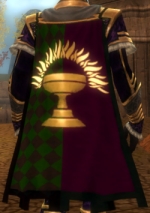 Guild Last Sanctuary cape.jpg