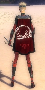 Guild Kitsune Of Dwayna cape.jpg